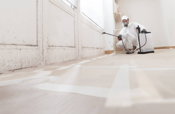 24/7 Emergency Black Mold Remediation experts in Farmington, IL