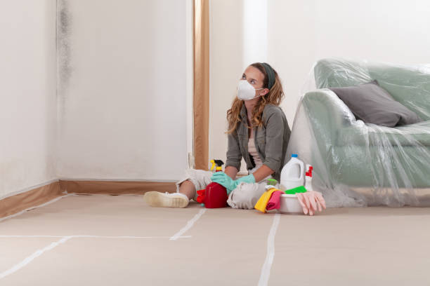 Reliable Black Mold Remediation contractor in Farmington, IL by Car Mold Remediation